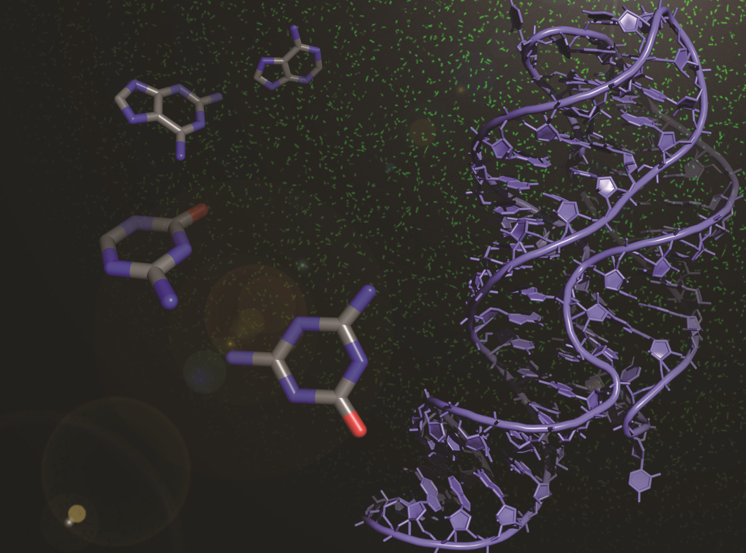 nucleic acid